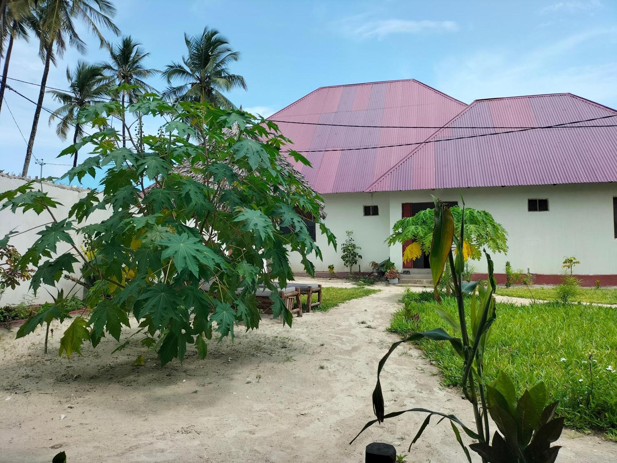 Mambo Leo Hostel Paje Exterior foto
